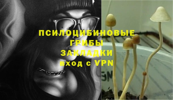 гашик Алексеевка